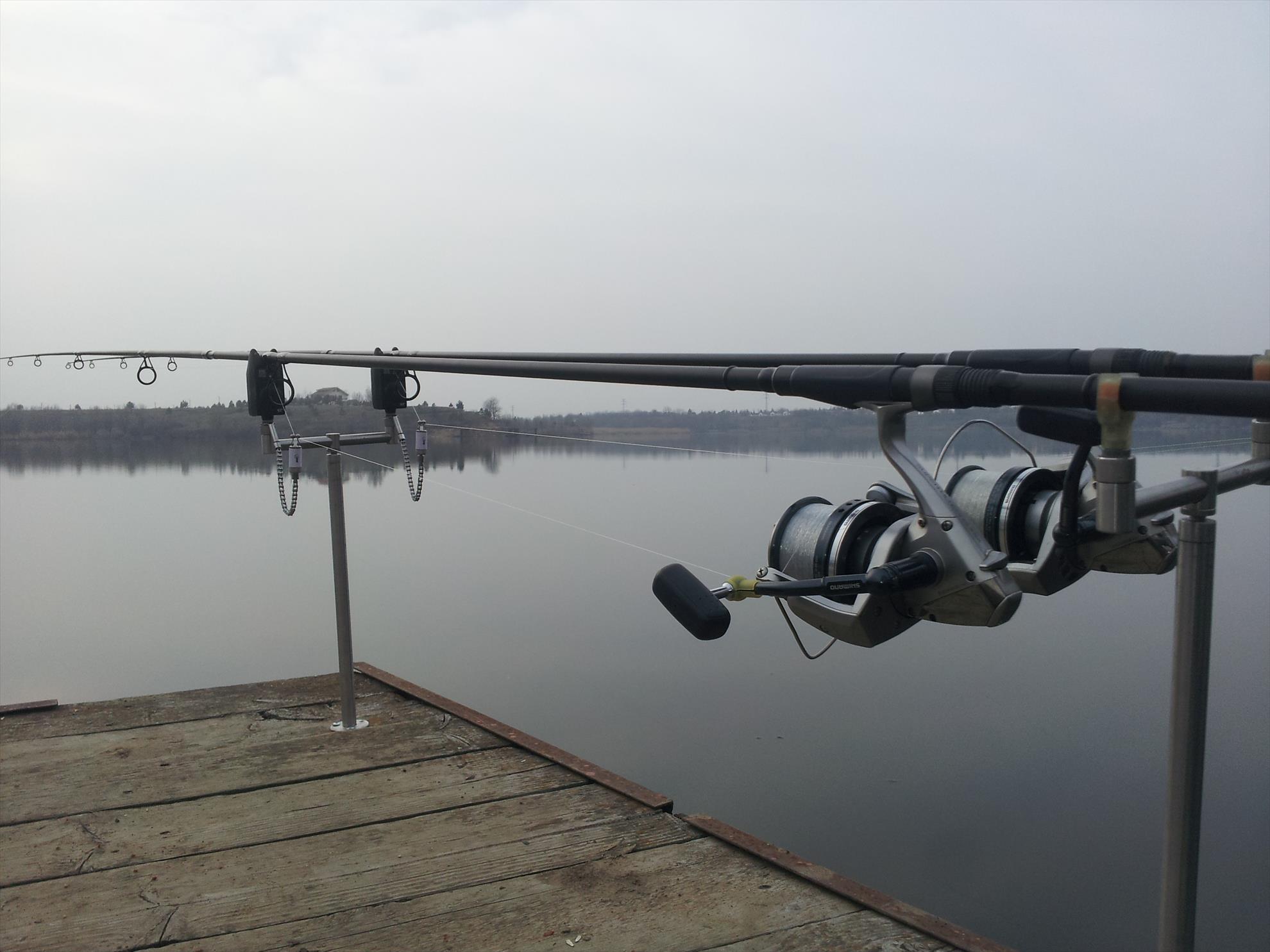 Tancabesti 1 - 2 mar. - 20140301162202.jpg